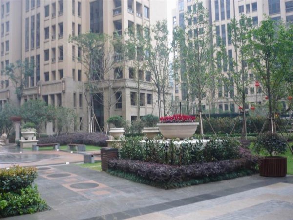 梧桐公寓,黄龙租房,<em>学院路</em> 文<em>二</em>路高档小区 绿城