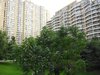 朗琴园租房1400元/月