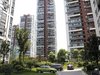 明园森林都市租房650元/月