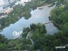 荔景大厦租房500元/月