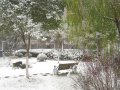 春波景苑