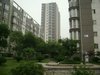 阿尔卡迪亚租房1000元/月