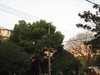 复旦小区租房900元/月