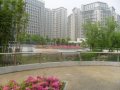 禹洲金桥国际