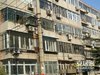 青年沟路租房1100元/月