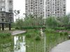 星河世纪城（一至三期）租房750元/月