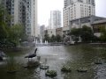 东方曼哈顿（一至三期）,东方曼哈顿租房11000元/月