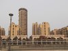 海洲桃花园租房850元/月