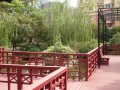 菊园