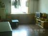 锦霞北园租房700元/月
