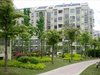 龙池翠洲租房1000元/月