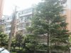 水清一村租房2800元/月