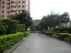 龙珠花园租房450元/月