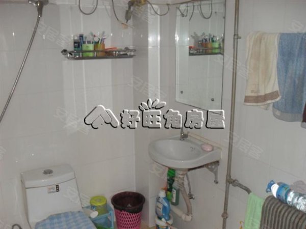 东苇路,促进路租房,地脚好 交通方便 便宜,