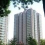 阳光都市