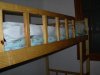 东安二村租房350元/月