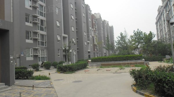 600x600.jpg