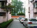光新路240弄