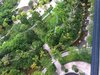 依云伴山租房1200元/月