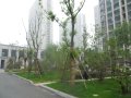 万达西地,租房550元/月