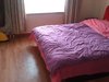 靓景明居租房2200元/月