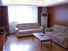 新金山国际公寓租房9500元/月