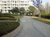 埃拉国际自由水岸租房550元/月