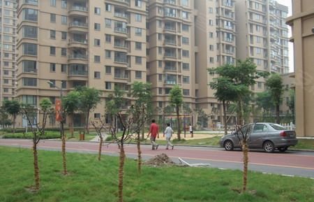 富川瑞园,租房,南区 树人学区 65平米 小户