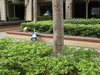 城市印象家园租房2500元/月