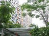 金地梅陇镇租房3300元/月
