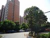 盛大花园租房1850元/月