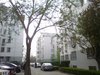 卧龙小区租房9000元/月