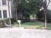 棕榈湾租房2500元/月