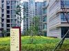 雅居乐花园租房800元/月