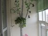 高行银杏苑租房2400元/月