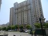 三林世博家园租房500元/月