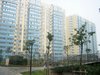 南方花园枫彩园租房500元/月