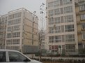 龙兴·美度租房1300元/月