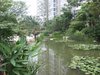 星雨华府租房500元/月