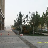 周边环境 周边环境