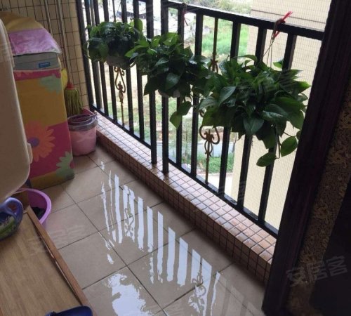 金泽豪庭 精装三房 安静望小区花园 白江站口 配