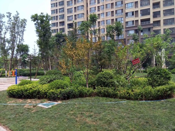 鑫苑名家荥阳植物园旁 地铁口送地暖 全智能家