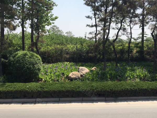 急售 洞林湖 联排别墅 位置好 院子大 随时过户