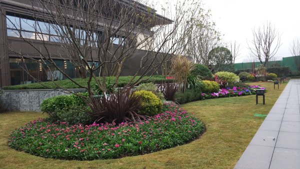 两江新区龙兴 融创九棠府、高端品质洋房、轻