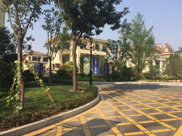 急售 洞林湖 联排别墅 位置好 院子大 随时过户