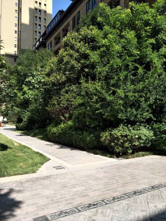 天朗悦城 精装四室 业主送车位 产证在手 随时过