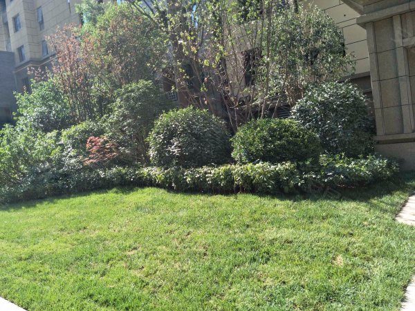 天朗悦城 精装四室 业主送车位 产证在手 随时过