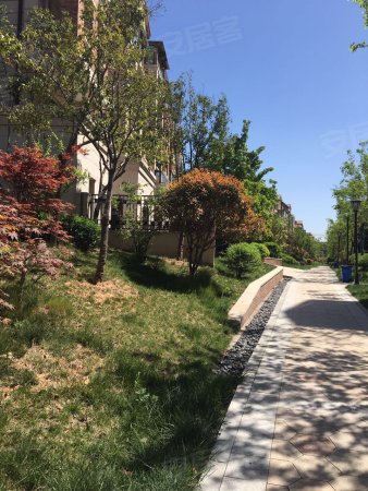 急售 洞林湖 联排别墅 位置好 院子大 随时过户