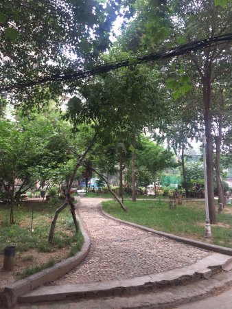 郑师附小旁非顶楼均价1.1万南北通透首付25万