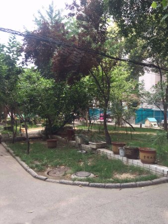 郑师附小旁非顶楼均价1.1万南北通透首付25万